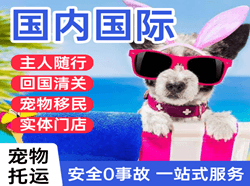 白山航空空运国际宠物托运 【国